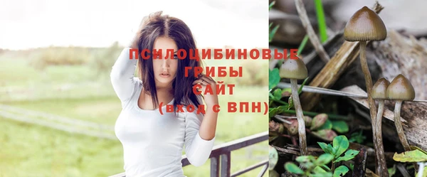 таблы Горно-Алтайск