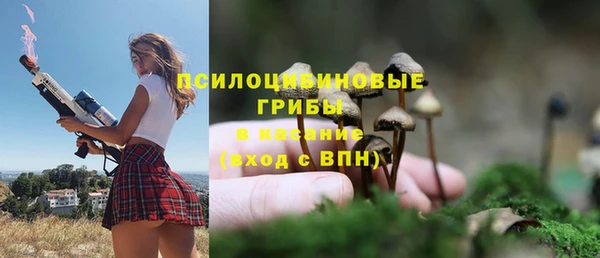 mdpv Кинешма