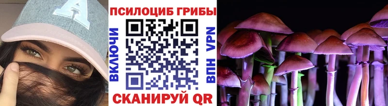 Галлюциногенные грибы Psilocybine cubensis Москва